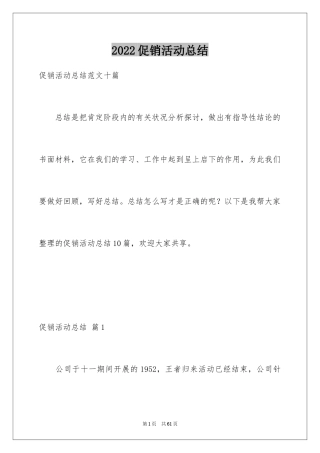 2024促销活动总结_91