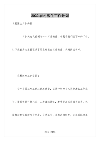 2024农村医生工作计划