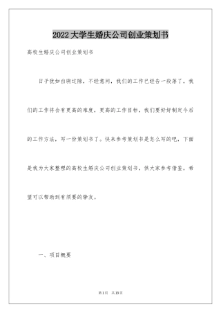 2024大学生婚庆公司创业策划书