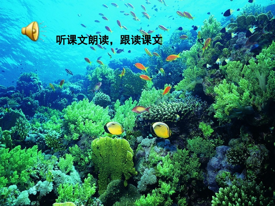 海底世界课件1_第3页