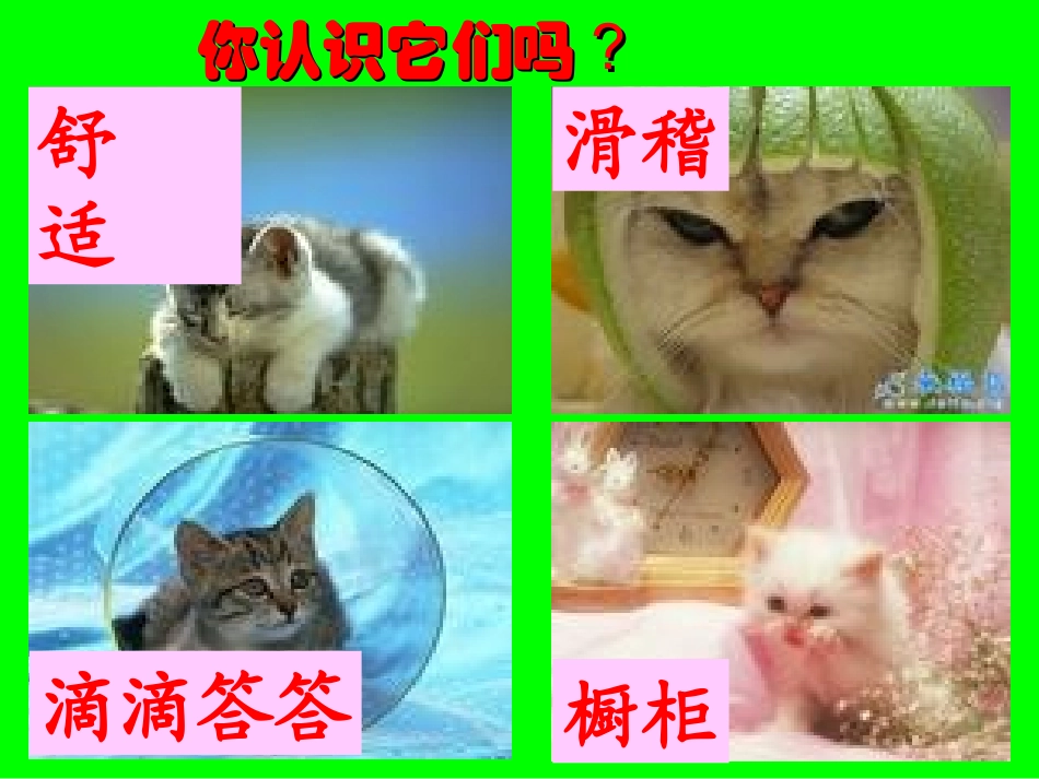 卡罗尔和他的小猫 (2)_第2页