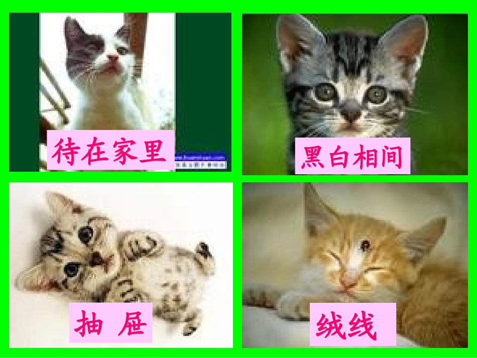 卡罗尔和他的小猫 (2)_第3页