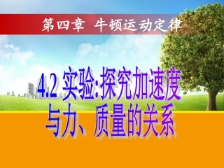 高中一年级物理必修1第四章牛顿运动定律第二课时课件