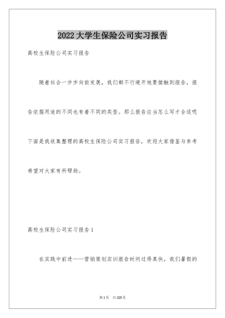 2024大学生保险公司实习报告_17