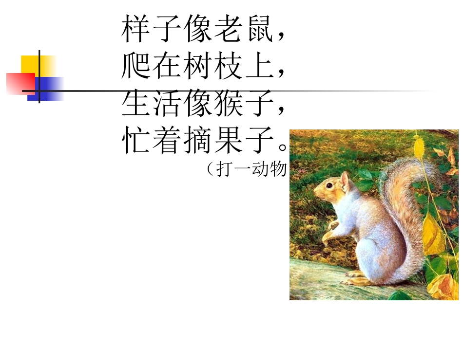 松鼠课件PPT (2)_第1页