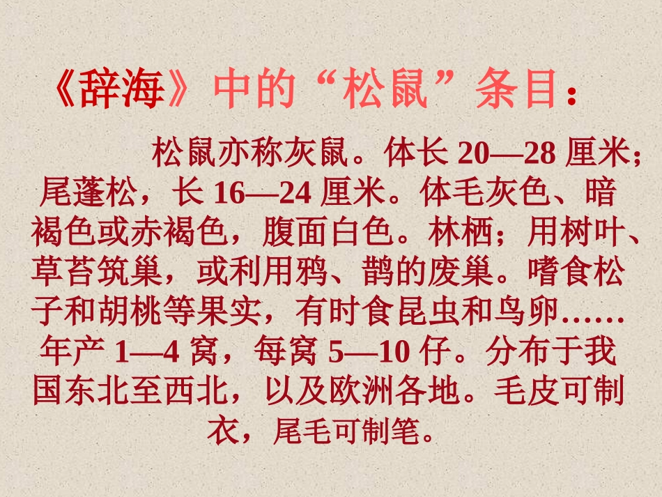 松鼠课件PPT (2)_第3页