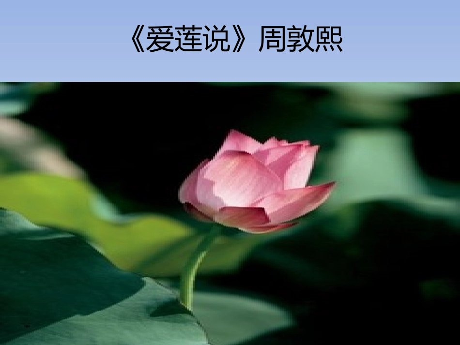 爱莲说课件1_第2页