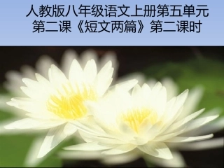 爱莲说课件1