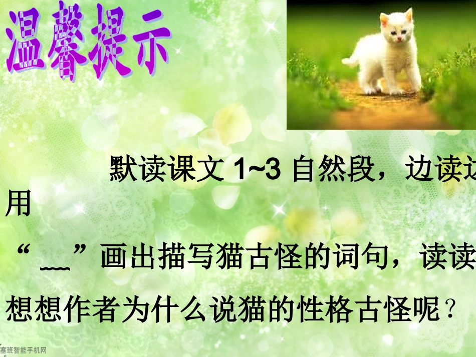 猫的--教学课件_第2页