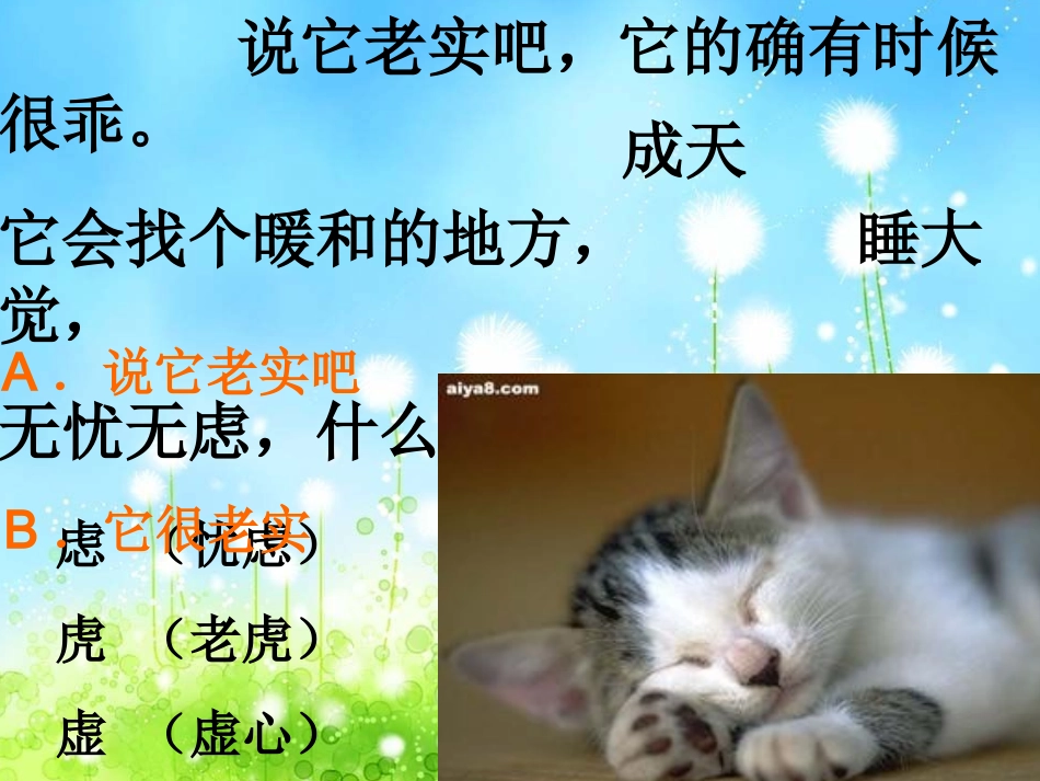 猫的--教学课件_第3页