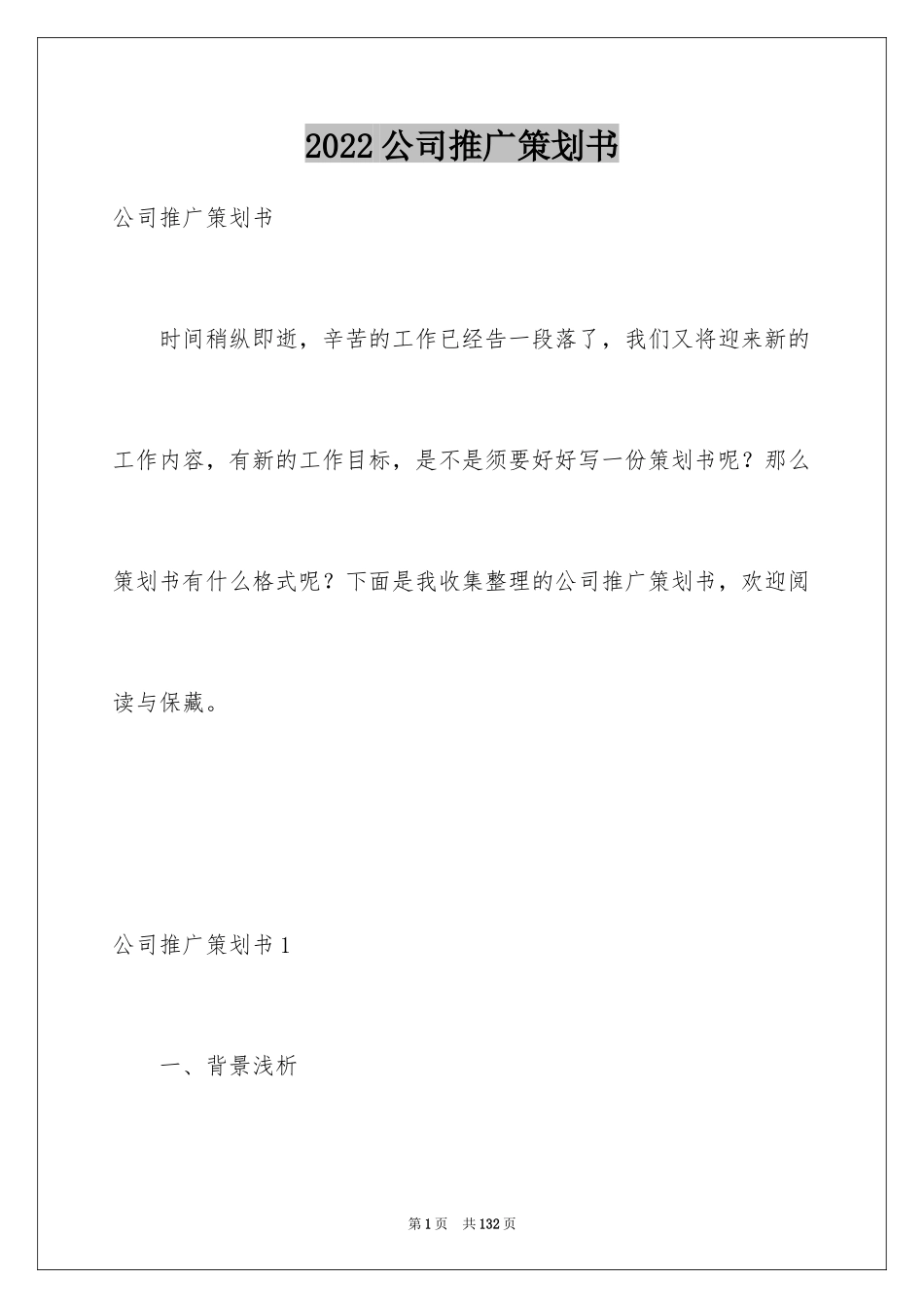 2024公司推广策划书_第1页