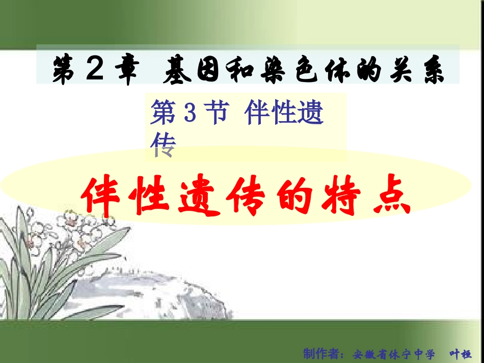 伴性遗传的特点_第1页