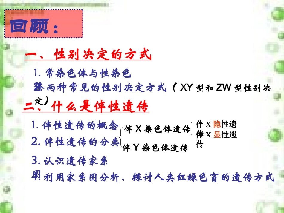 伴性遗传的特点_第2页