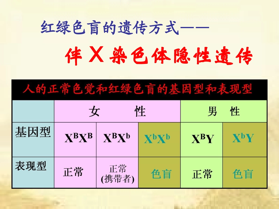 伴性遗传的特点_第3页
