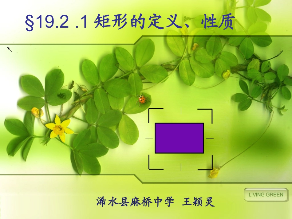 矩形的定义性质_第1页