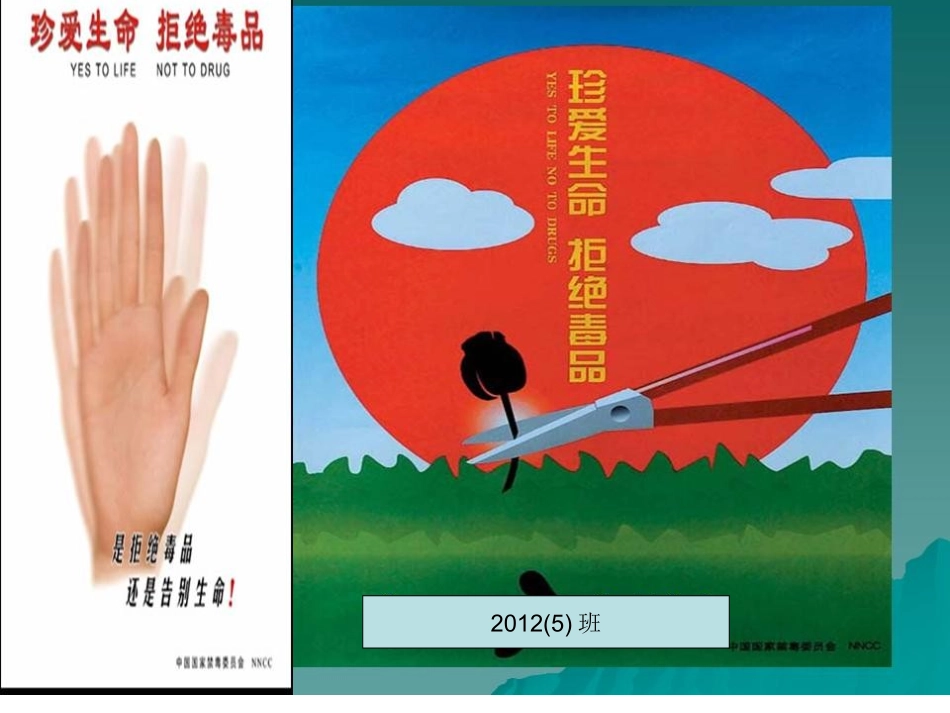 禁毒主题班会_第1页