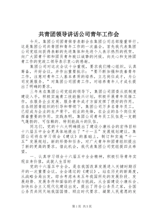 共青团领导讲话发言公司青年工作会