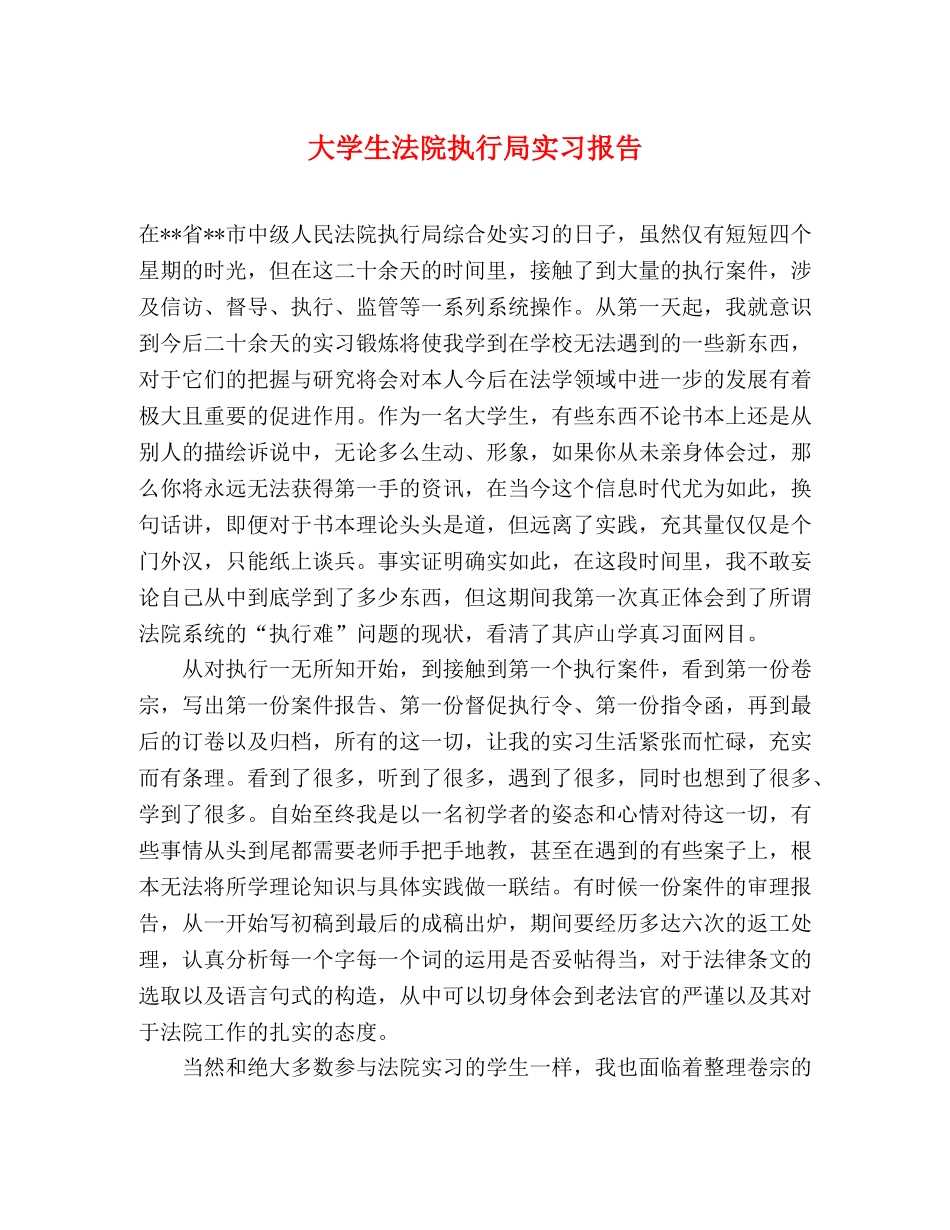 大学生法院执行局实习报告 _第1页