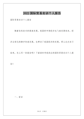 2024国际贸易实训个人报告