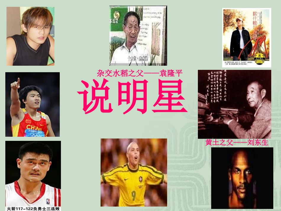 综合性学习－－我也追星_第2页