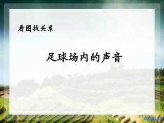足球场内的声音