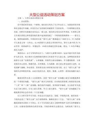 大型公益活动策划方案 