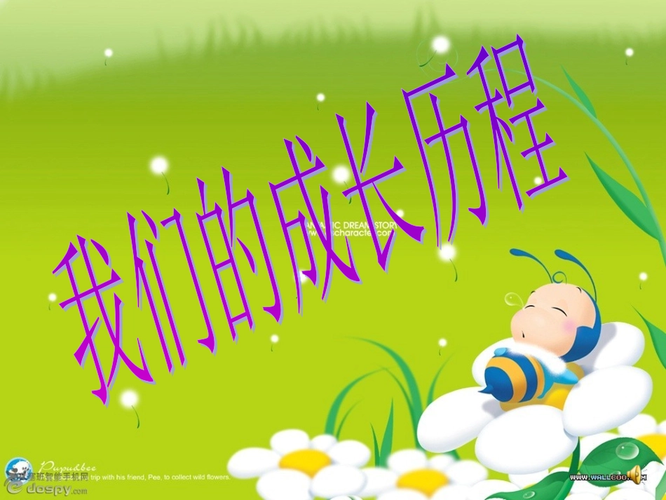 母亲节主题班会课件_第3页