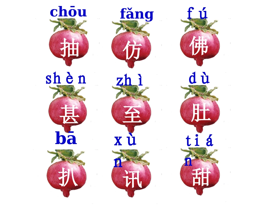 苏教版三年级上册语文石榴课件_第3页