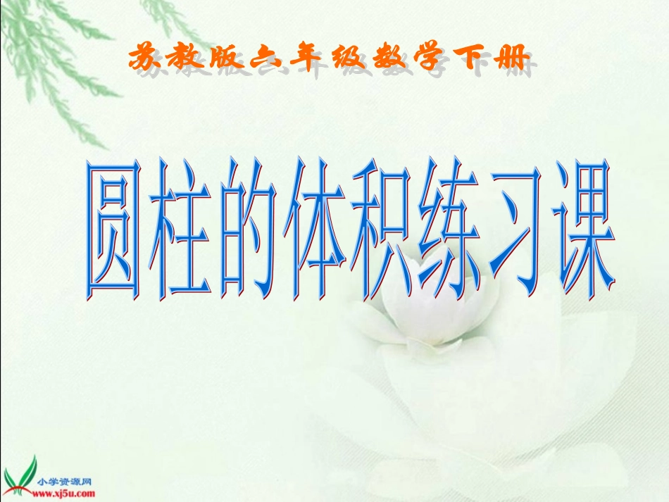 （苏教版）六年级数学下册课件圆柱的体积练习课_第1页