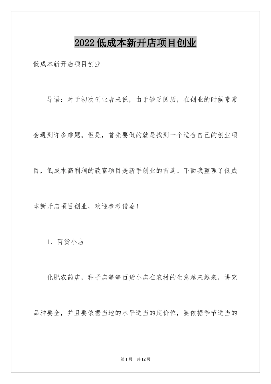 2024低成本新开店项目创业_第1页