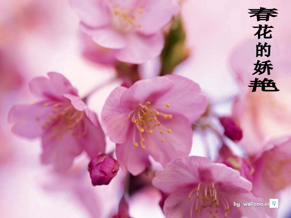 大自然的语言 (3)_第1页