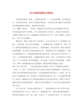 初入职场的感受心得体会 