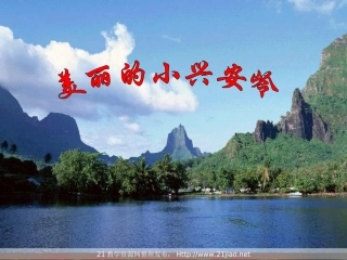 《美丽的小兴安岭》PPT课件精选(2)