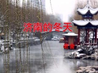 济南的冬天 (3)