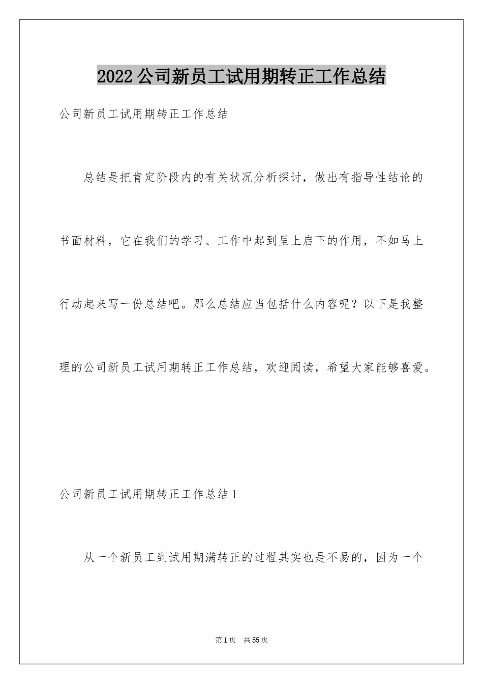 2024公司新员工试用期转正工作总结_第1页