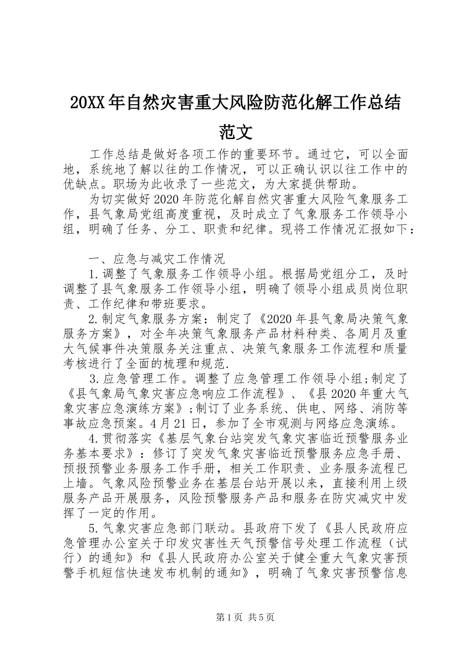 20XX年自然灾害重大风险防范化解工作总结范文_第1页