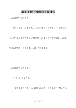 2024土木工程实习工作报告_1