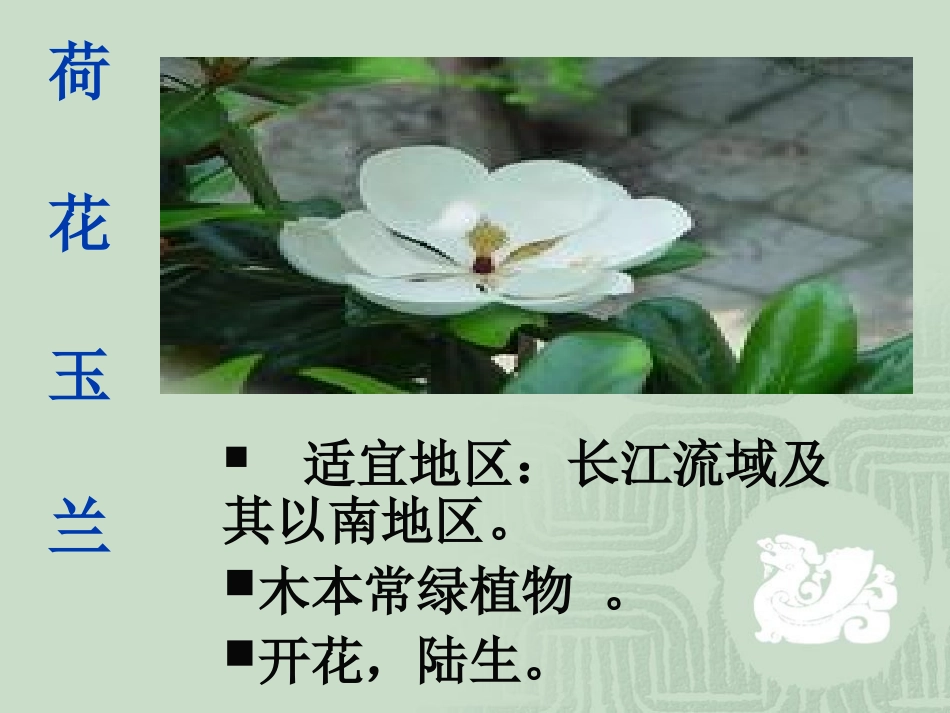 多种多样的植物_第3页