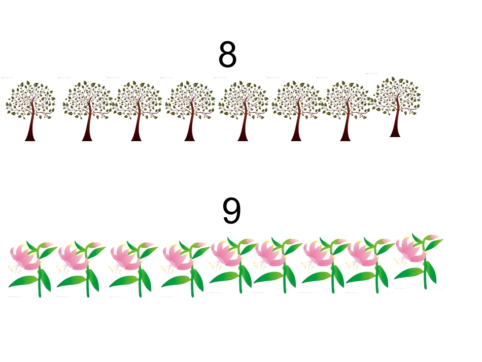 数学：找影子_第1页