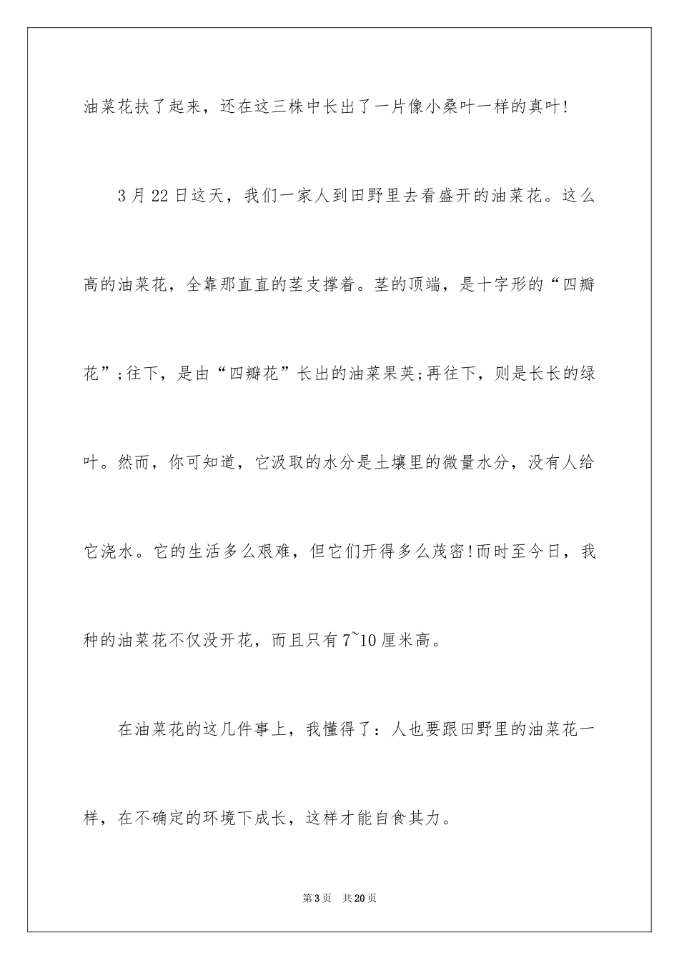 2024写物作文400字_23_第3页