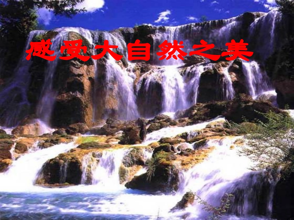 感受大自然之美_第1页