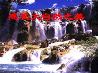 感受大自然之美