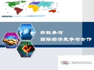 积极参与国际经济竞争与合作 (2)