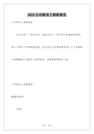 2024公司新员工辞职报告