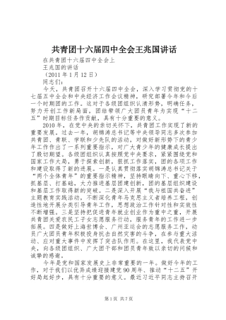 共青团十六届四中全会王兆国讲话发言