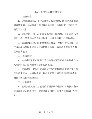 2024年风险点自查报告示