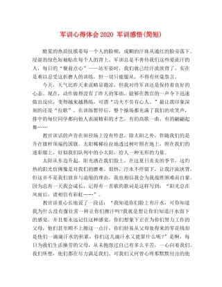军训心得体会2020 军训感悟(简短) 