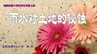 雨水对土地的侵蚀(6)