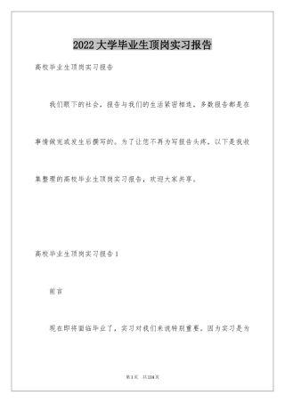 2024大学毕业生顶岗实习报告_20