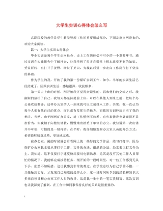 大学生实训心得体会怎么写 